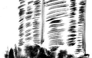 Disegno di Davide Catania.